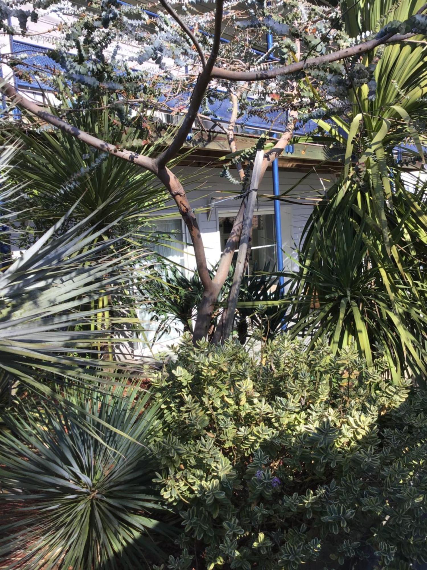 Agreable Appartement A 1Km Du Centre De La Teste-De-Buch Εξωτερικό φωτογραφία